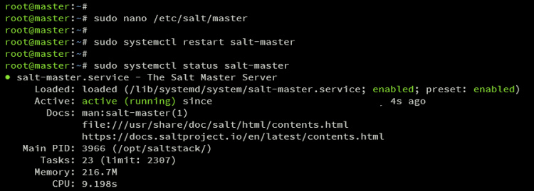 verificar maestro de sal