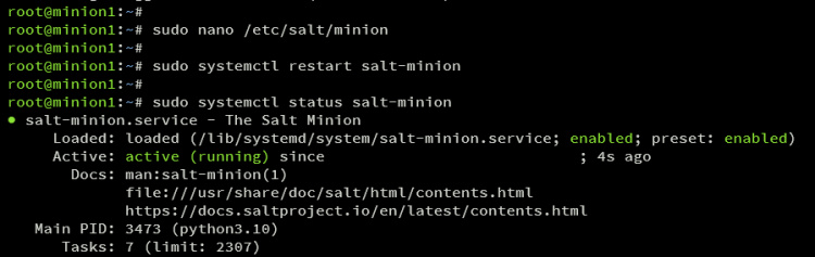 verificar siervo de la sal