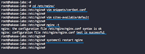 Configurar el servidor web nginx