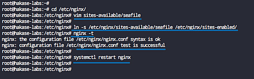 Nginx como proxy inverso para seafile