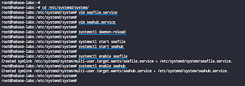 Configurar la unidad systemd de Seafile