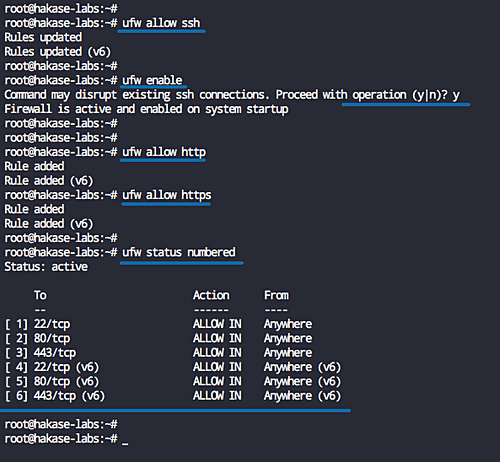 Configurar el cortafuegos UFW