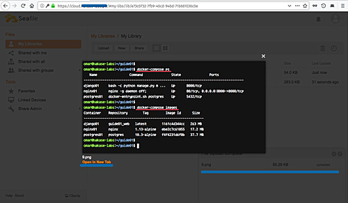 Subir el archivo con Seafile