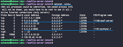 Comprobar los puertos