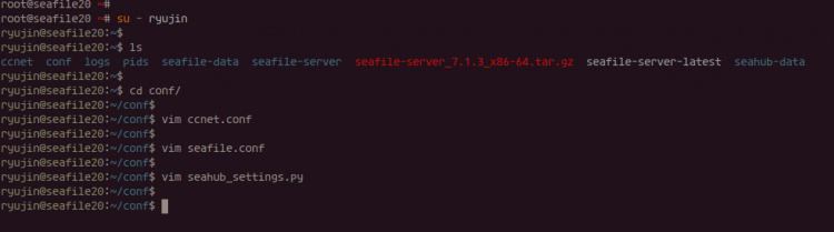 Configurar el nombre de dominio de Seafile