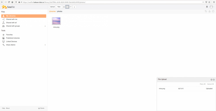 Archivo Seafile Subida con éxito