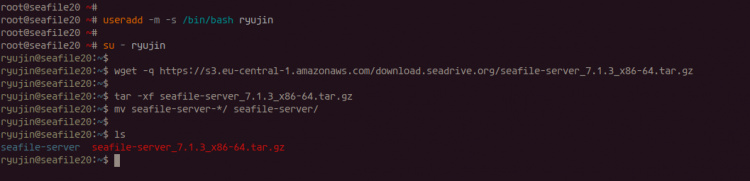 Descargar Seafile 7.1