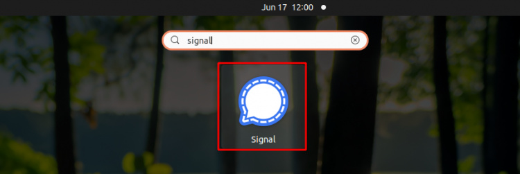 Iniciar la aplicación Signal