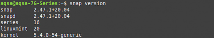 Comprueba la versión del snap