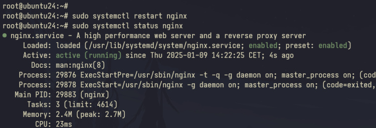 comprobar nginx