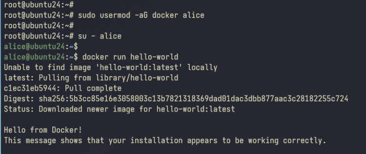 docker hola mundo