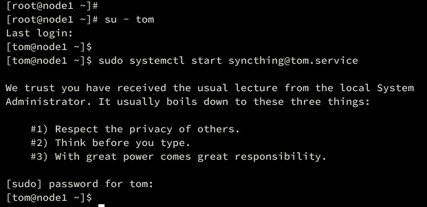 inicializar syncthing