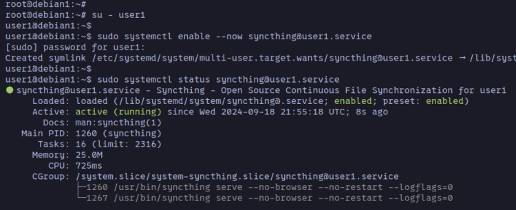 servicio de sincronización