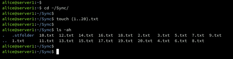 crear archivos servidor1