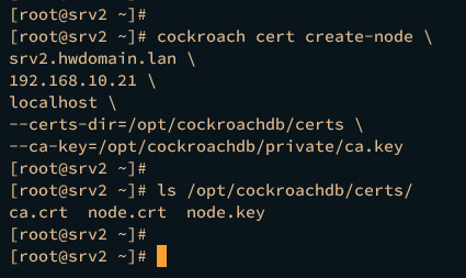 generar certtificados de nodo srv2