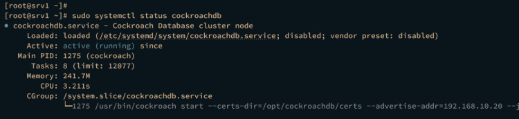 servicio cockroachdb en srv1