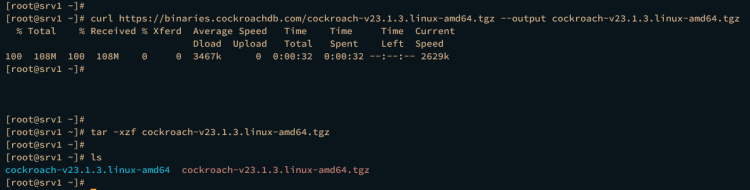 descargar cockroachdb