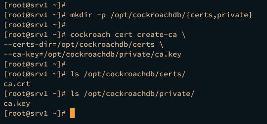 generar certificado CA