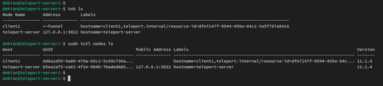 verificar mediante cli