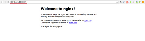 Página en el nodo 1