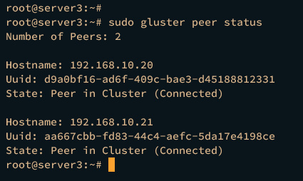 estado peer servidor3