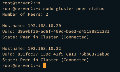 estado peer servidor2