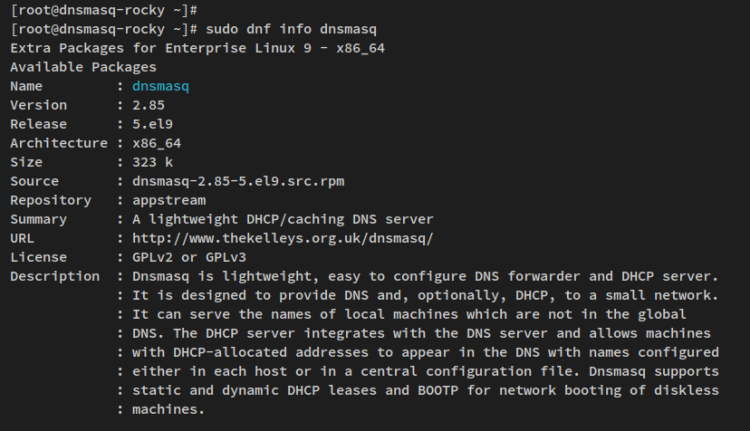 dnsmasq info