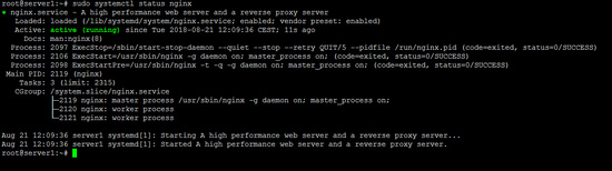 Estado de Nginx: éxito