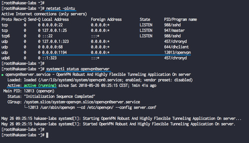 Comprobar el estado del servidor OpenVPN
