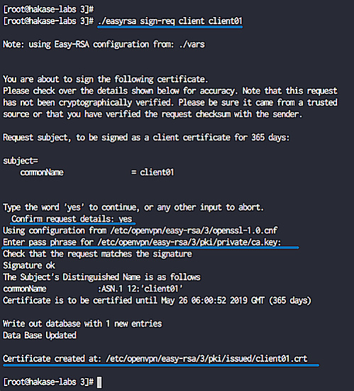 Firmar la clave del cliente