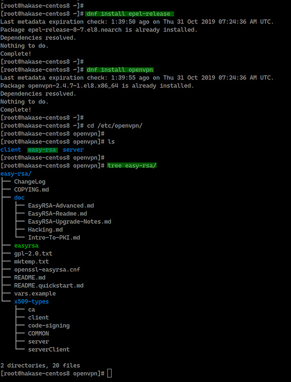 c-mo-instalar-un-servidor-y-un-cliente-openvpn-con-easy-rsa-3-en-centos-8-howtoforge