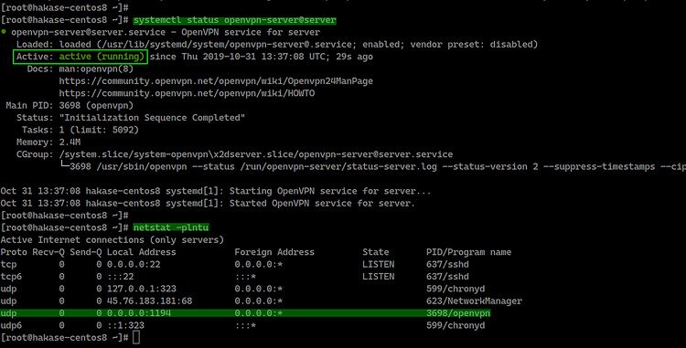 OpenVPN se ha iniciado con éxito