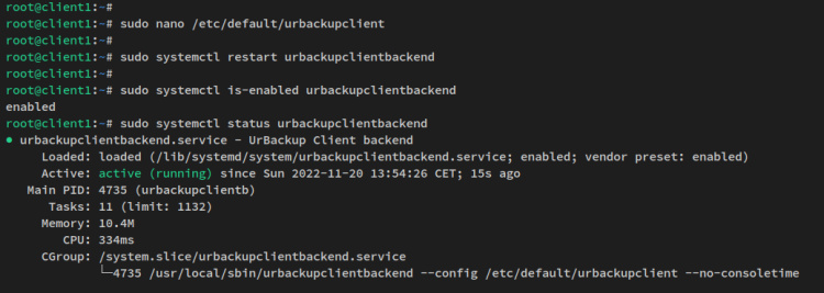 estado del cliente urbackup