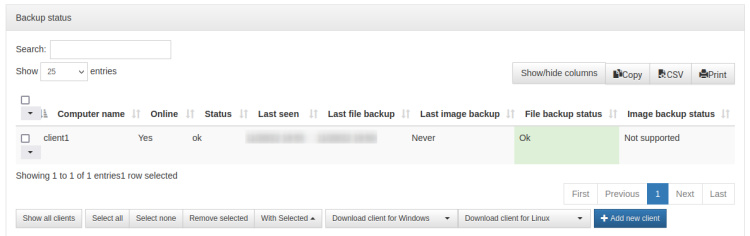 hacer copia de seguridad