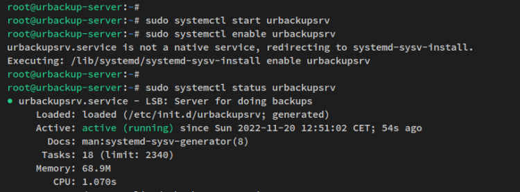 verificar el servidor urbackup