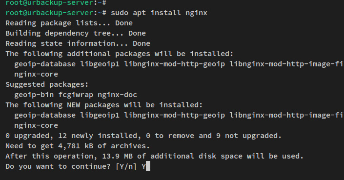 instalar nginx