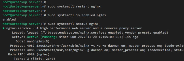 verificar nginx