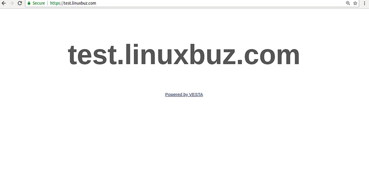 Prueba del sitio web