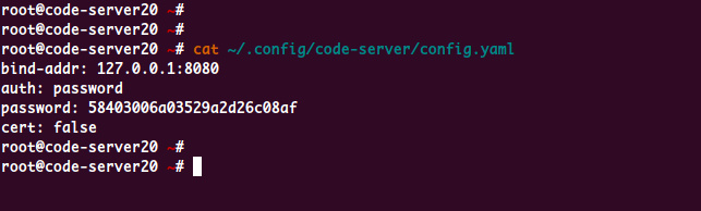 Configuración por defecto Visual Code Server
