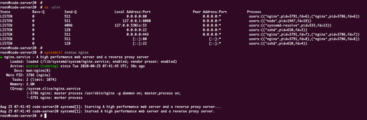 Configurar Nginx como proxy inverso para Visual Code Server