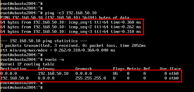 ping al router vyos
