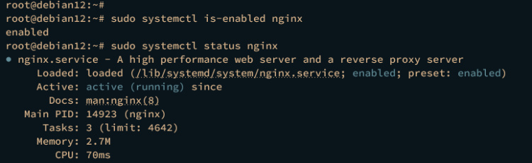 comprobando nginx
