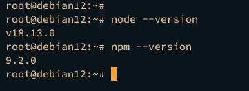 verificar node.js npm
