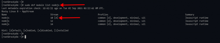 Comprobar el módulo de repositorio de Node.js Rocky Linux