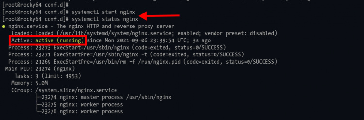 Iniciar el servicio Nginx y comprobar el estado
