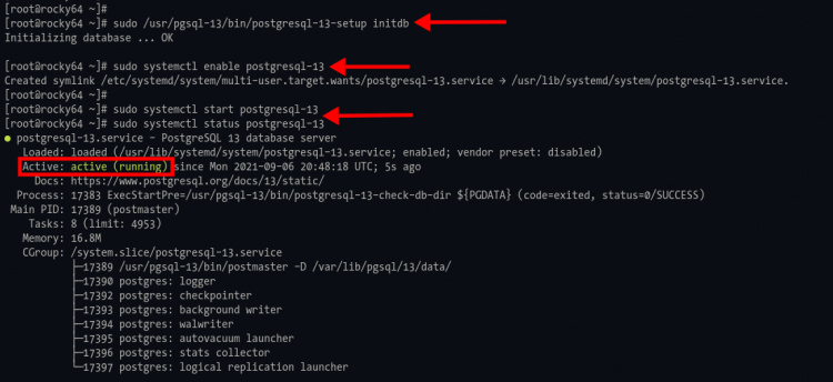 Inicializar PostgreSQL e iniciar el servicio PostgreSQL