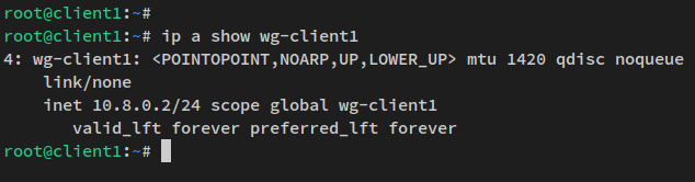 comprobar interfaz wireguar clcinet