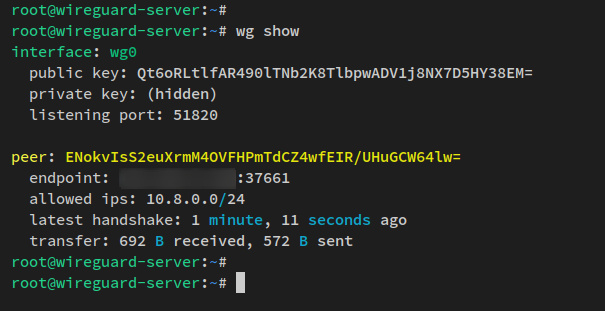 wg mostrar servidor wireguard