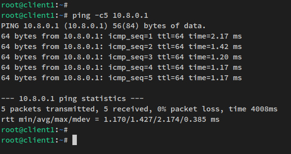 ping al servidor wireguard
