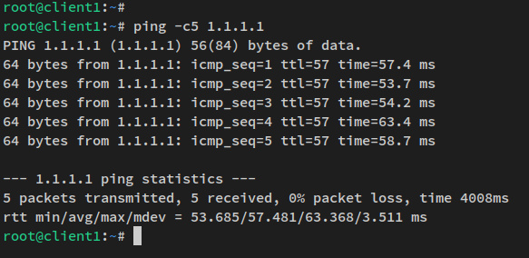 ping a internet